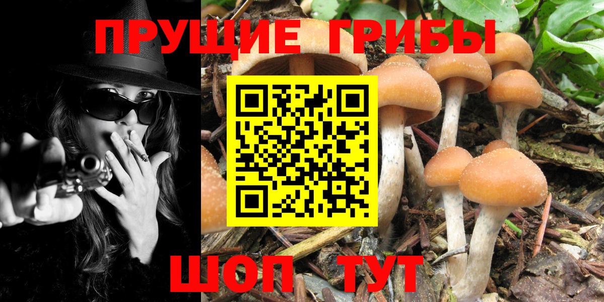 Псилоцибиновые грибы мухоморы  Вход с VPN  Братск 